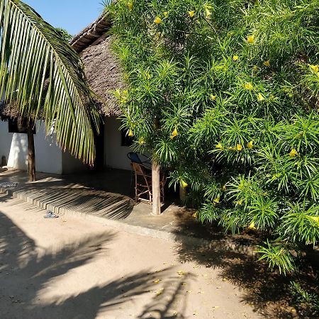 Jambiani Home Stay Dış mekan fotoğraf