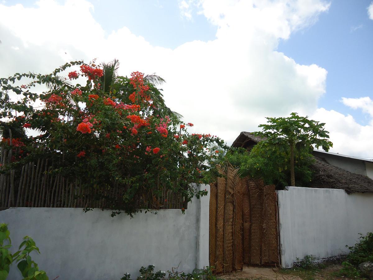 Jambiani Home Stay Dış mekan fotoğraf